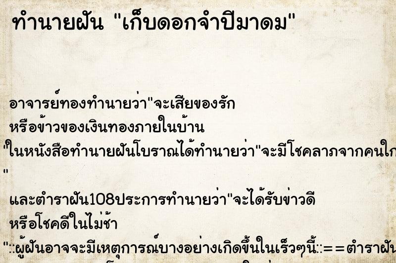 ทำนายฝัน เก็บดอกจำปีมาดม ตำราโบราณ แม่นที่สุดในโลก