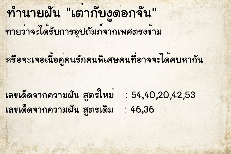ทำนายฝันทำนายฝันเต่ากับงูดอกจัน