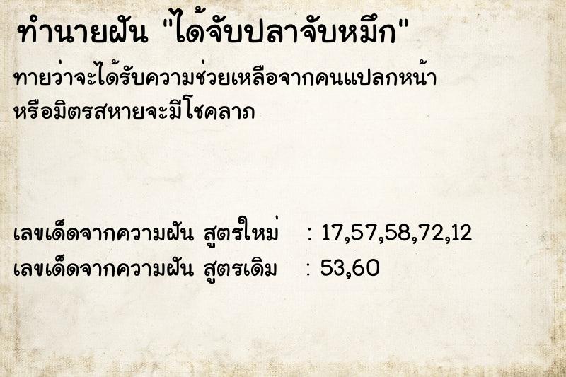 ทำนายฝันทำนายฝันได้จับปลาจับหมึก