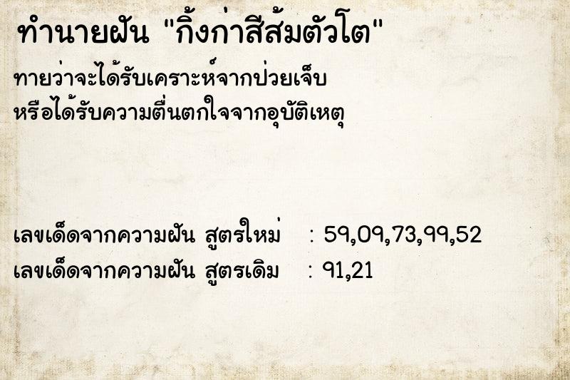 ทำนายฝันกิ้งก่าสีส้มตัวโต ทำนายฝันทำนายฝันกิ้งก่าสีส้มตัวโต