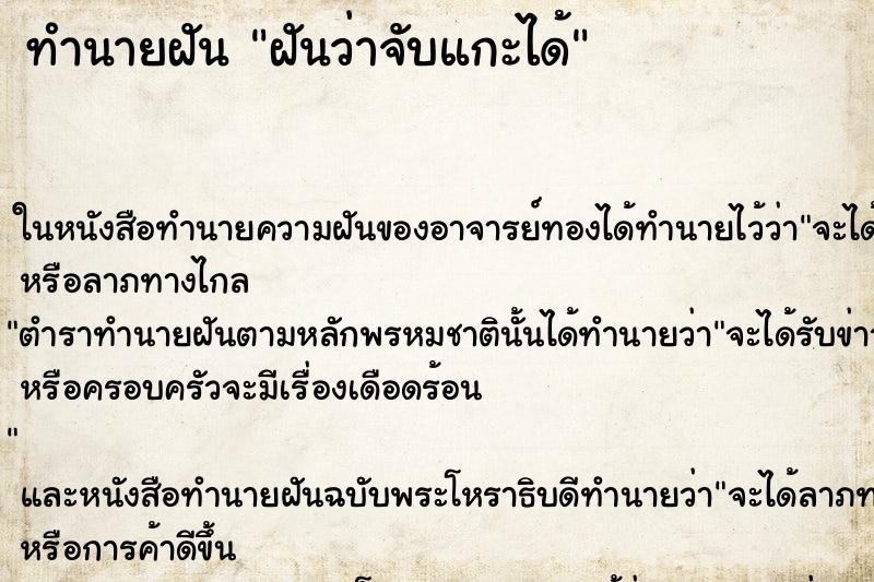 ทำนายฝันฝันว่าจับแกะได้ ทำนายฝันทำนายฝันฝันว่าจับแกะได้