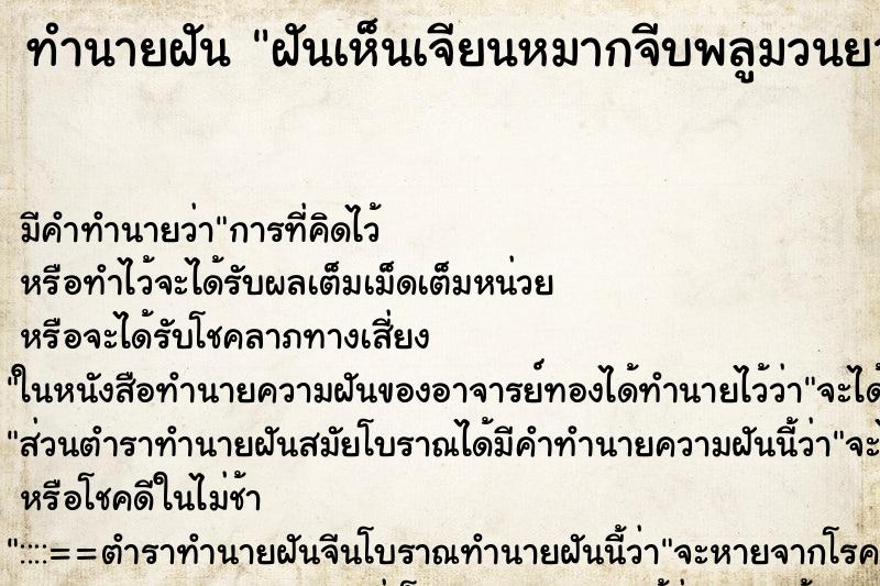 ทำนายฝันทำนายฝันฝันเห็นเจียนหมากจีบพลูมวนยาสูบ