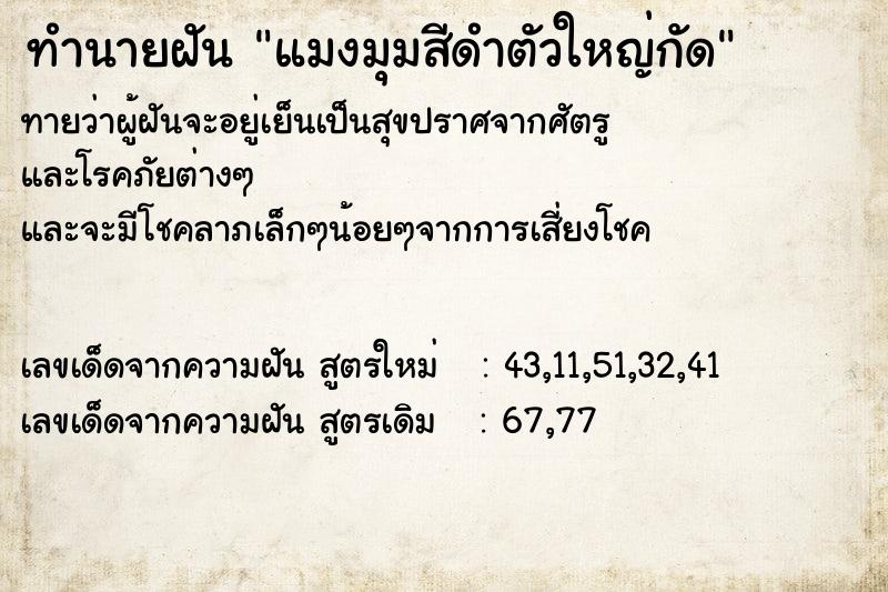 ทำนายฝันแมงมุมสีดำตัวใหญ่กัด ทำนายฝันทำนายฝันแมงมุมสีดำตัวใหญ่กัด