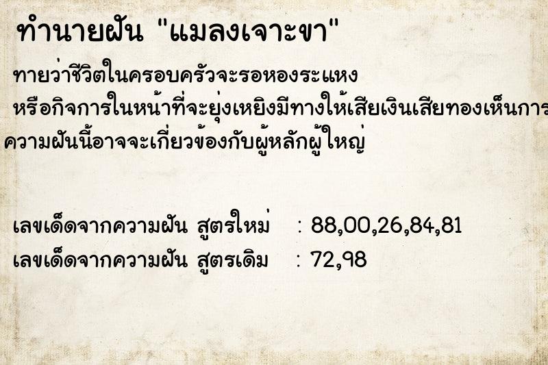 ทำนายฝันแมลงเจาะขา ทำนายฝันทำนายฝันแมลงเจาะขา