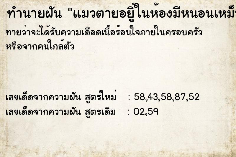 ทำนายฝันทำนายฝันแมวตายอยูิ่ในห้องมีหนอนเหม็นมาก