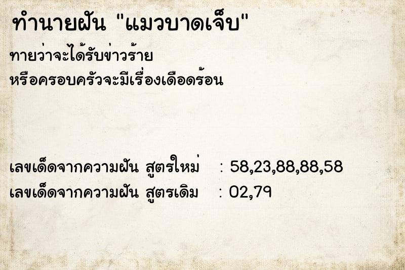 ทำนายฝันแมวบาดเจ็บ ทำนายฝันทำนายฝันแมวบาดเจ็บ