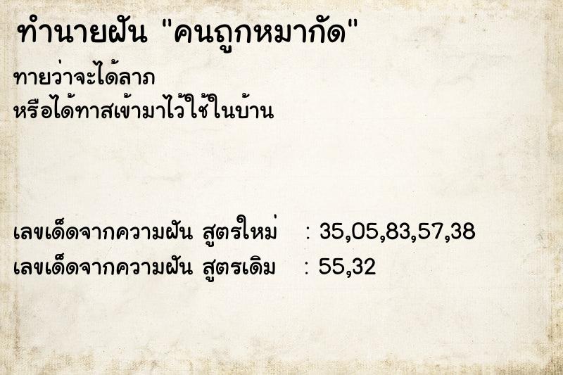ทำนายฝันคนถูกหมากัด ทำนายฝันทำนายฝันคนถูกหมากัด