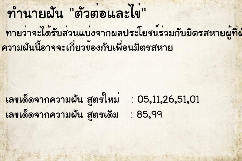 ทำนายฝันตัวต่อและไข่ ทำนายฝันทำนายฝันตัวต่อและไข่