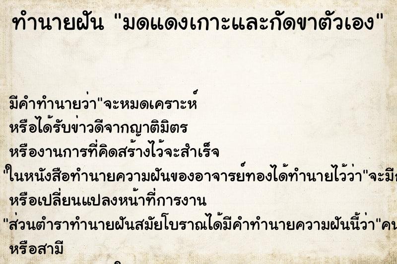 ทำนายฝัน มดแดงเกาะและกัดขาตัวเอง ตำราโบราณ แม่นที่สุดในโลก