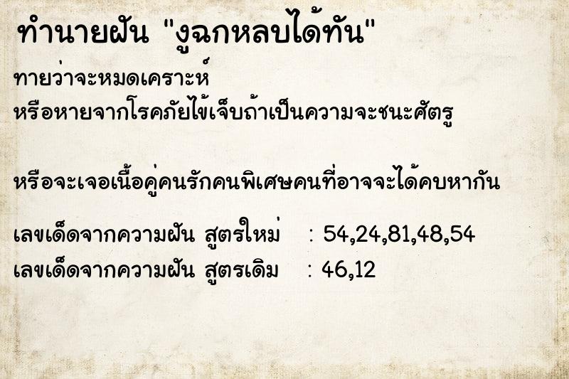 ทำนายฝันทำนายฝันงูฉกหลบได้ทัน