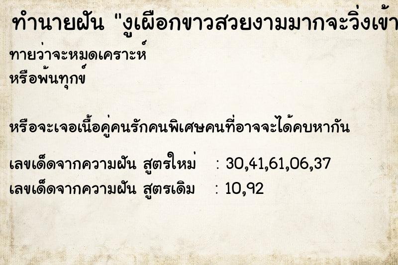 ทำนายฝันทำนายฝันงูเผือกขาวสวยงามมากจะวิ่งเข้าบ้าน