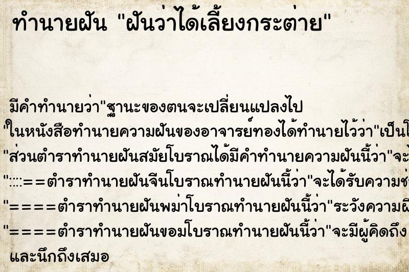 ทำนายฝัน ฝันว่าได้เลี้ยงกระต่าย ทำนายฝัน ฝันว่าได้เลี้ยงกระต่าย