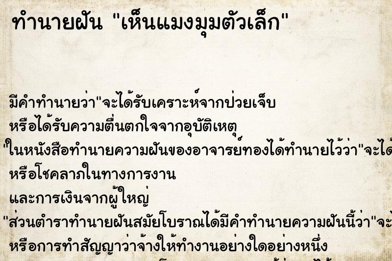 ทำนายฝันทำนายฝันเห็นแมงมุมตัวเล็ก