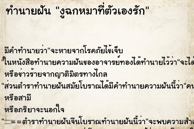 ทำนายฝันงูฉกหมาที่ตัวเองรัก ทำนายฝันทำนายฝันงูฉกหมาที่ตัวเองรัก