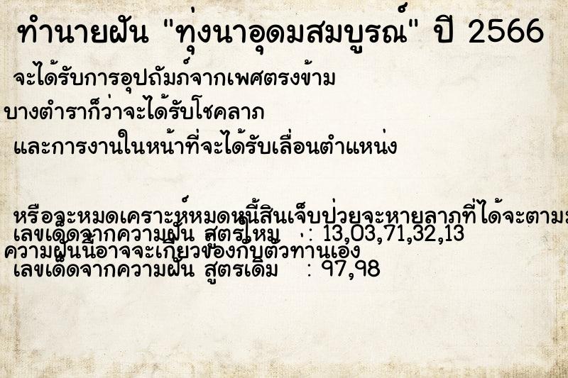 ทำนายฝัน ทุ่งนาอุดมสมบูรณ์ ทำนายฝัน ทุ่งนาอุดมสมบูรณ์
