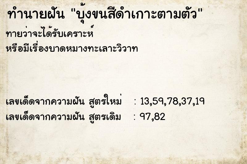 ทำนายฝันทำนายฝันบุ้งขนสีดำเกาะตามตัว