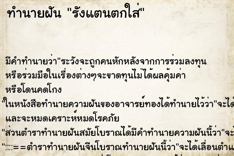 ทำนายฝัน รังแตนตกใส่ ทำนายฝัน รังแตนตกใส่