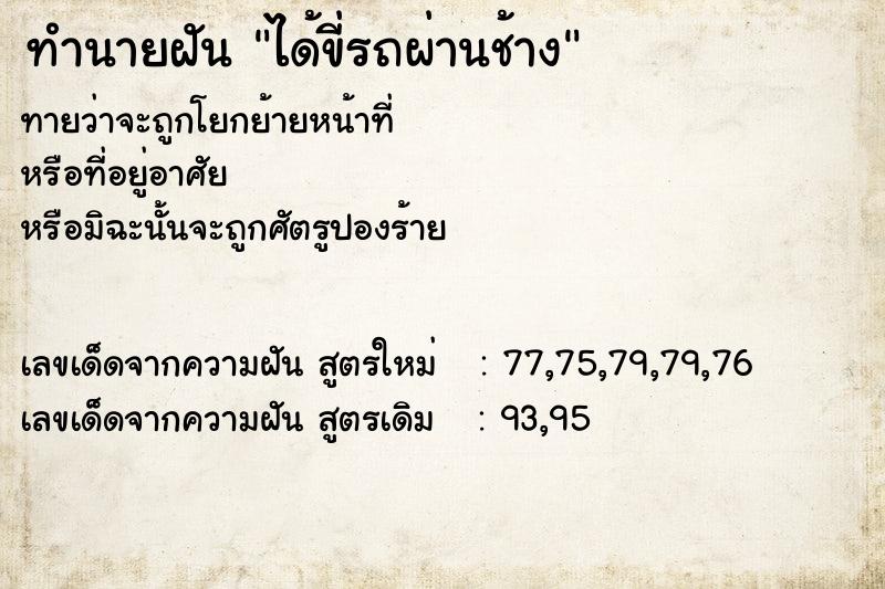 ทำนายฝันได้ขี่รถผ่านช้าง ทำนายฝันทำนายฝันได้ขี่รถผ่านช้าง