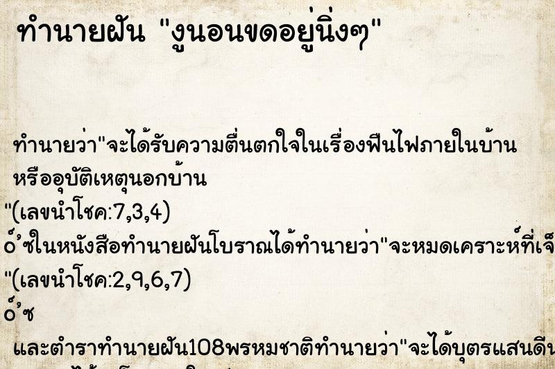 ทำนายฝัน งูนอนขดอยู่นิ่งๆ ทำนายฝัน งูนอนขดอยู่นิ่งๆ