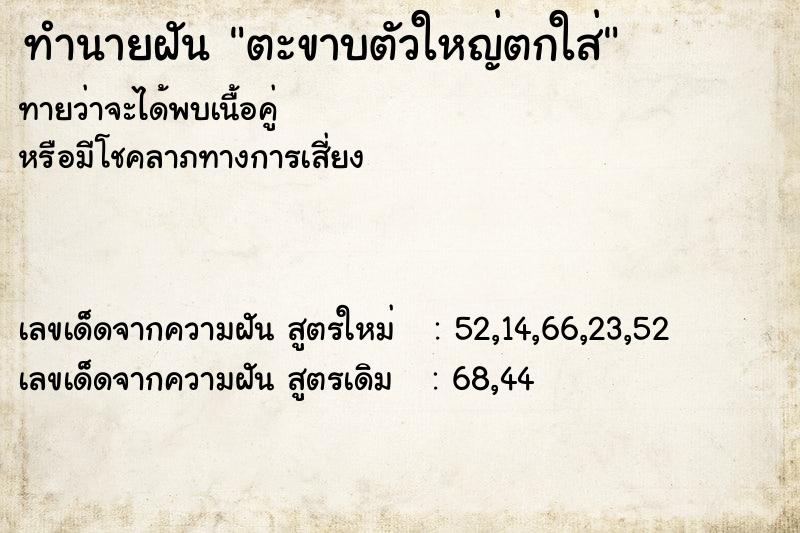 ทำนายฝันทำนายฝันตะขาบตัวใหญ่ตกใส่