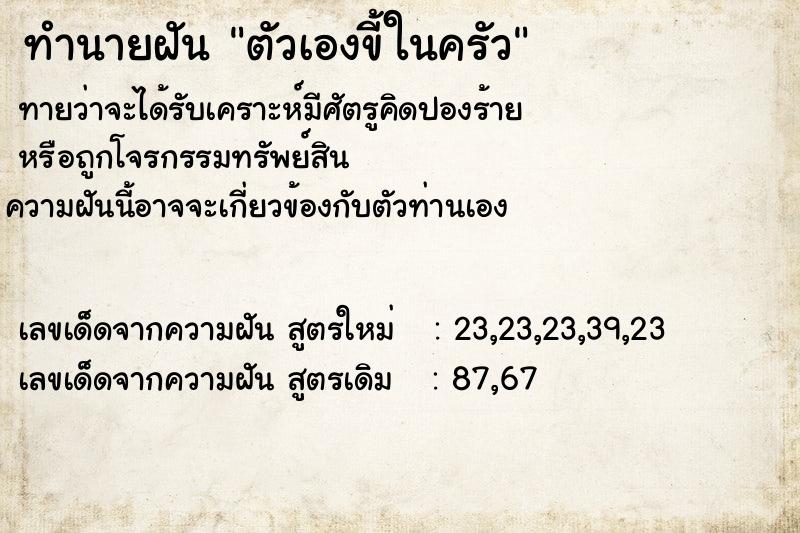 ทำนายฝันทำนายฝันตัวเองขี้ในครัว