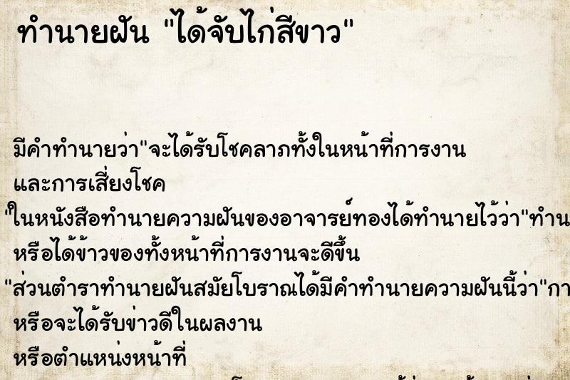 ทำนายฝัน ได้จับไก่สีขาว ทำนายฝัน ได้จับไก่สีขาว