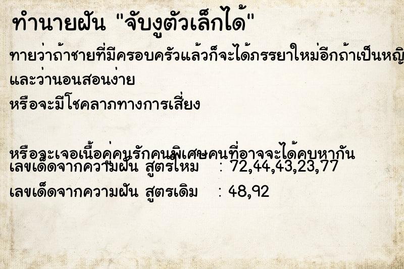 ทำนายฝันจับงูตัวเล็กได้ ทำนายฝันทำนายฝันจับงูตัวเล็กได้