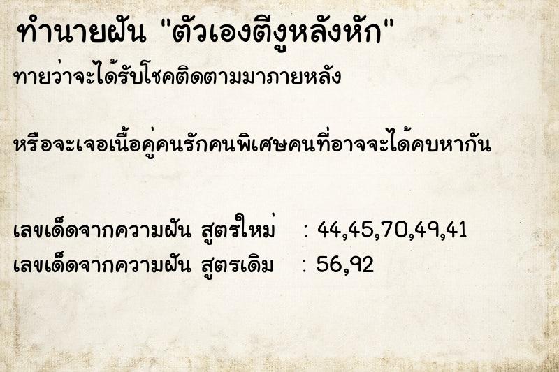 ทำนายฝันตัวเองตีงูหลังหัก ทำนายฝันทำนายฝันตัวเองตีงูหลังหัก