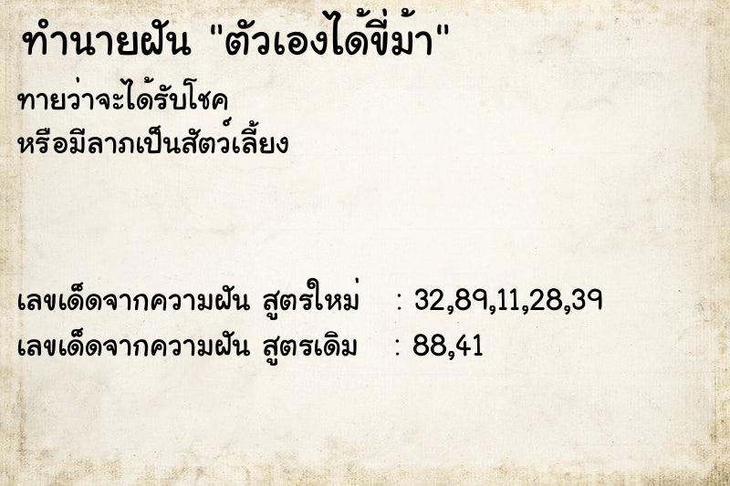 ทำนายฝัน ตัวเองได้ขี่ม้า ทำนายฝัน ตัวเองได้ขี่ม้า