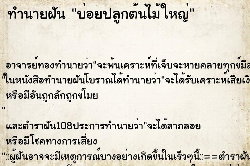 ทำนายฝันบ่อยปลูกต้นไม้ใหญ่ ทำนายฝันทำนายฝันบ่อยปลูกต้นไม้ใหญ่