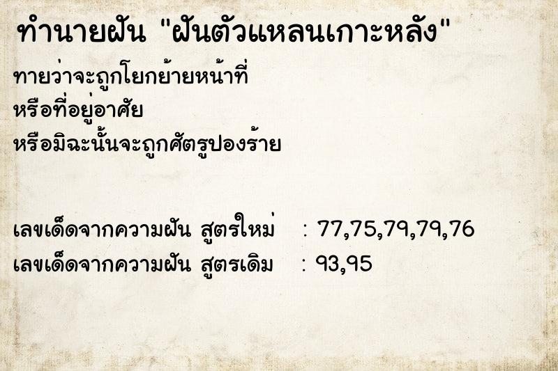 ทำนายฝันฝันตัวแหลนเกาะหลัง ทำนายฝันทำนายฝันฝันตัวแหลนเกาะหลัง