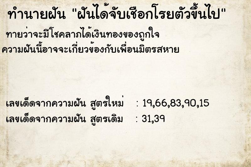 ทำนายฝัน ฝันได้จับเชือกโรยตัวขึ้นไป ทำนายฝัน ฝันได้จับเชือกโรยตัวขึ้นไป