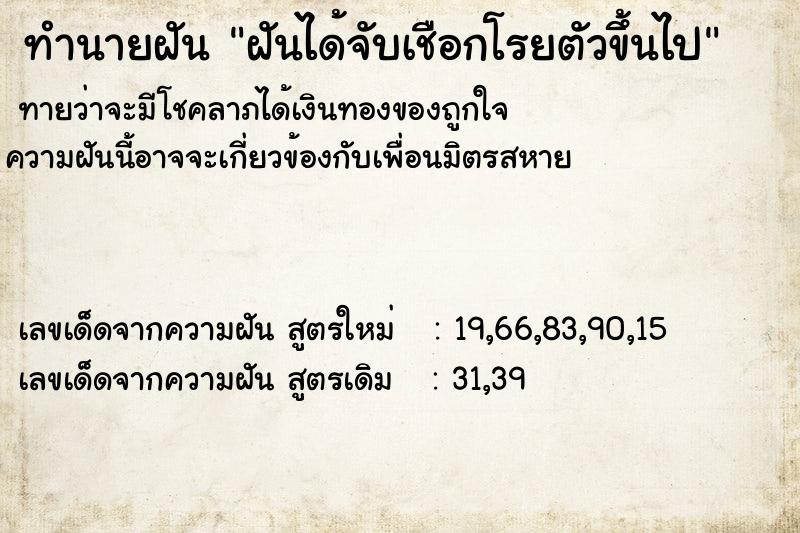 ทำนายฝัน ฝันได้จับเชือกโรยตัวขึ้นไป ตำราโบราณ แม่นที่สุดในโลก