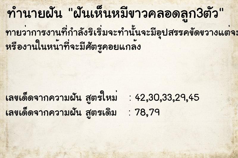 ทำนายฝันทำนายฝันฝัน​เห็น​หมีขาวคลอดลูก​3ตัว