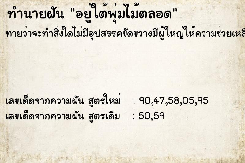 ทำนายฝัน อยู่ใต้พุ่มไม้ตลอด ทำนายฝัน อยู่ใต้พุ่มไม้ตลอด