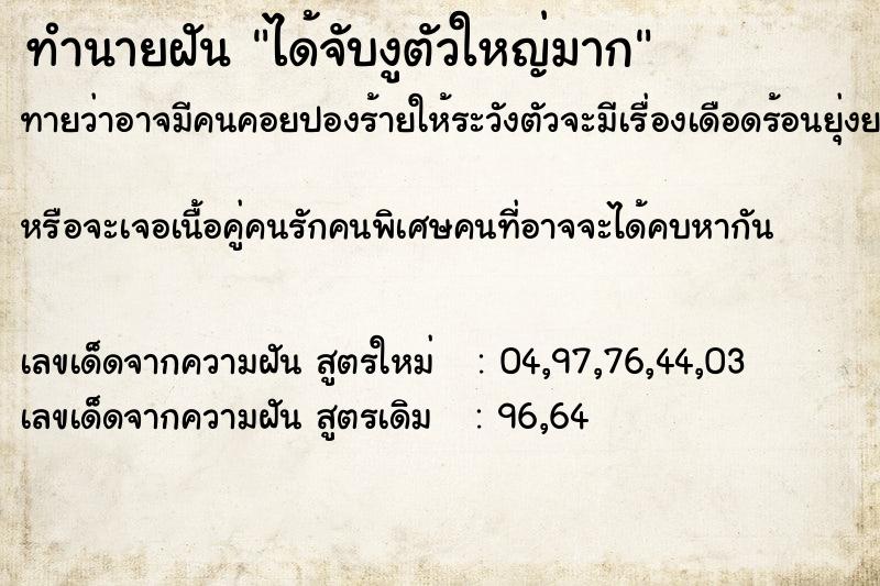 ทำนายฝันได้จับงูตัวใหญ่มาก ทำนายฝันทำนายฝันได้จับงูตัวใหญ่มาก