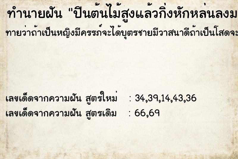 ทำนายฝันปีนต้นไม้สูงแล้วกิ่งหักหล่นลงมา ทำนายฝันทำนายฝันปีนต้นไม้สูงแล้วกิ่งหักหล่นลงมา