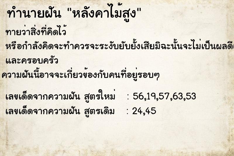 ทำนายฝันหลังคาไม้สูง ทำนายฝันทำนายฝันหลังคาไม้สูง