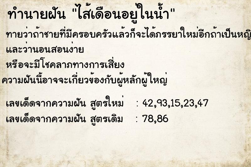 ทำนายฝันไส้เดือนอยู่ในน้ำ ทำนายฝันทำนายฝันไส้เดือนอยู่ในน้ำ