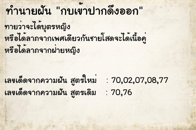 ทำนายฝันกบเข้าปากดึงออก ทำนายฝันทำนายฝันกบเข้าปากดึงออก