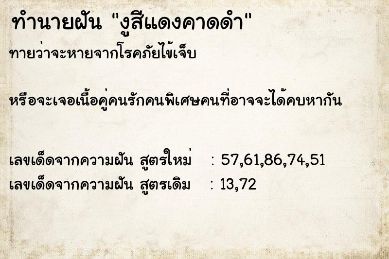 ทำนายฝัน งูสีแดงคาดดำ