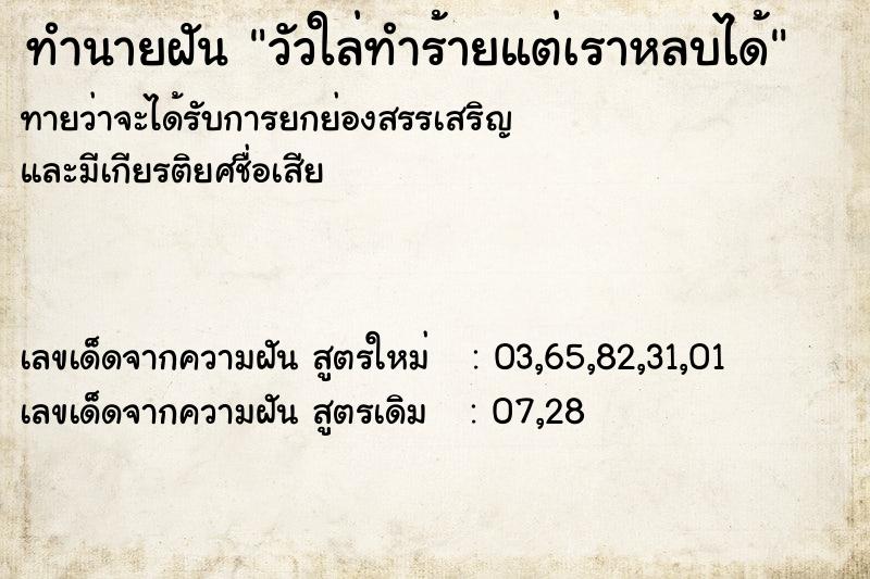 ทำนายฝันวัวใล่ทำร้ายแต่เราหลบได้ ทำนายฝันทำนายฝันวัวใล่ทำร้ายแต่เราหลบได้