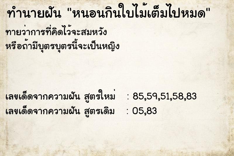 ทำนายฝันทำนายฝันหนอนกินใบไม้เต็มไปหมด