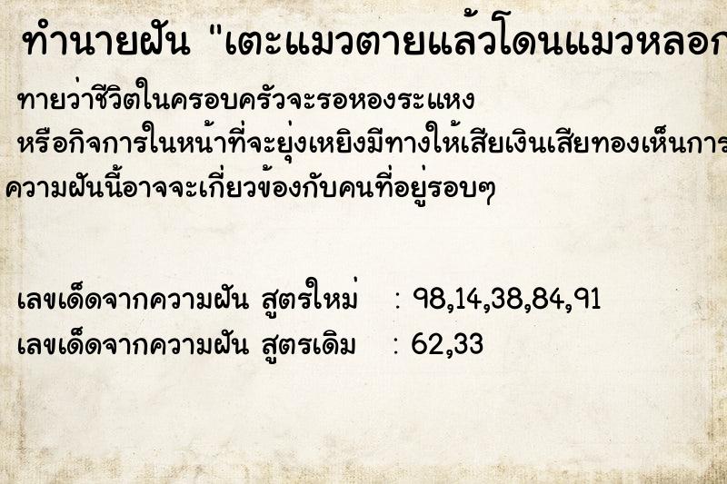 ทำนายฝัน เตะแมวตายแล้วโดนแมวหลอก