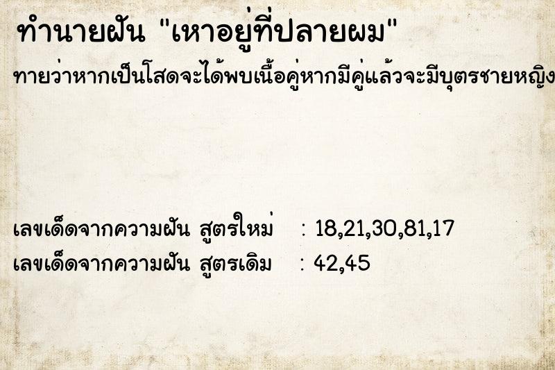 ทำนายฝันเหาอยู่ที่ปลายผม ทำนายฝันทำนายฝันเหาอยู่ที่ปลายผม