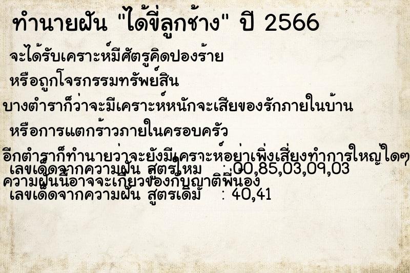 ทำนายฝันได้ขี่ลูกช้าง ทำนายฝันทำนายฝันได้ขี่ลูกช้าง