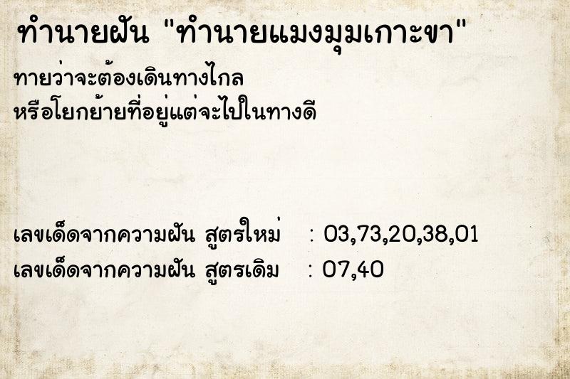 ทำนายฝันทำนายฝันทำนายแมงมุมเกาะขา