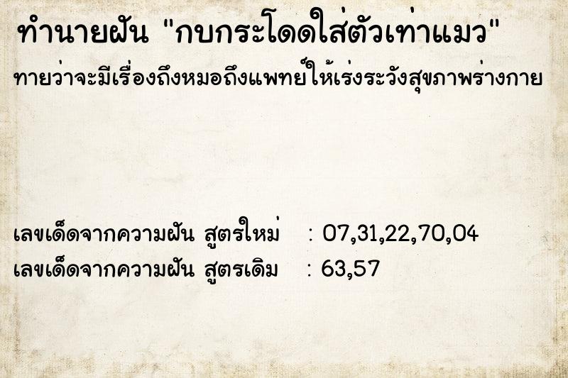 ทำนายฝัน กบกระโดดใส่ตัวเท่าแมว ทำนายฝัน กบกระโดดใส่ตัวเท่าแมว