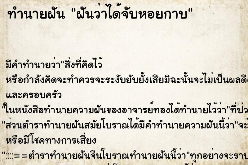 ทำนายฝันฝันว่าได้จับหอยกาบ ทำนายฝันทำนายฝันฝันว่าได้จับหอยกาบ