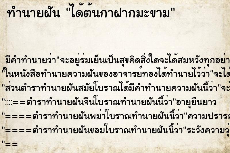 ทำนายฝัน ได้ต้นกาฝากมะขาม ทำนายฝัน ได้ต้นกาฝากมะขาม